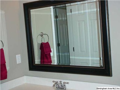 Decorative mirrors in bath