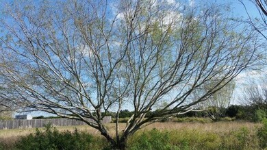 2408 Diana St, Donna, TX 78537 - photo 7