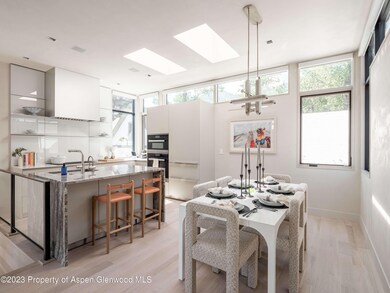 208 E Main Street - Aspen CO-16