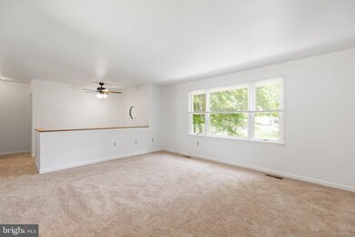 423 Albany St, Fredericksburg, VA 22407 - photo 3