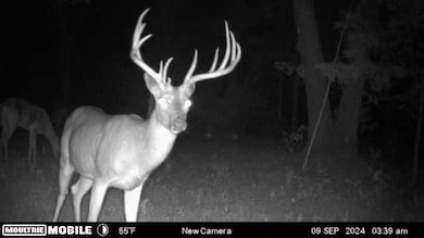 19180 E 920th Rd, Humansville, MO 65674 - photo 2