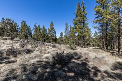 Lot 51 North Rim