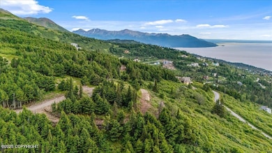 L3 Paine Cir, Anchorage, AK 99516 - photo 6