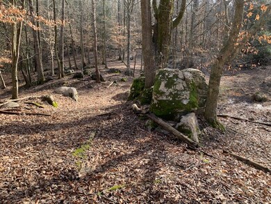 000 Big Bottom Rd, Sparta, TN 38583 - photo 7