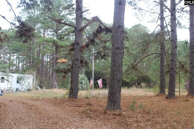 220 Ivory St, Cope, SC 29038 - photo 6