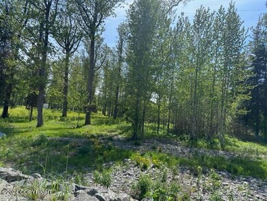 35885 Sterling Hwy, Anchor Point, AK 99556 - photo 4