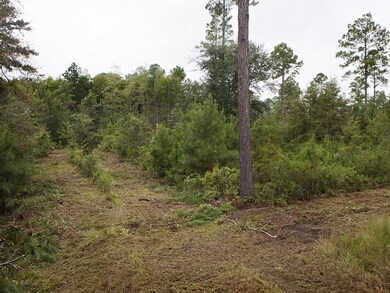 0000 Dixie-Barwick Rd, Boston, GA 31626 - photo 4