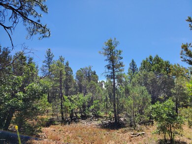 1151 S Falling Leaf Road