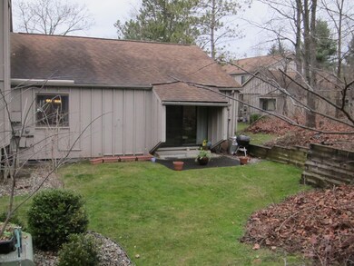back yard, 3741 Cedaridge. Rix