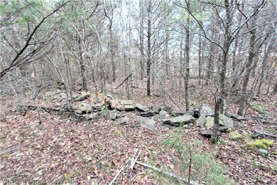 TBD Lazy Brook Rd, Rudy, AR 72952 - photo 2