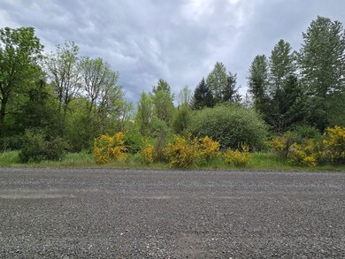 5102 Harts Lake Rd S, Roy, WA 98580 - photo 4