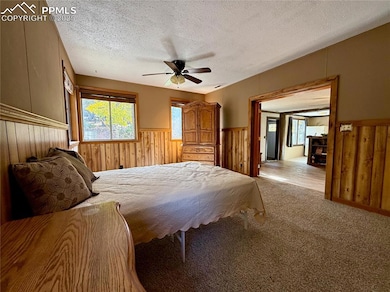 753 Will Stutley Dr, Divide, CO 80814 - photo 6