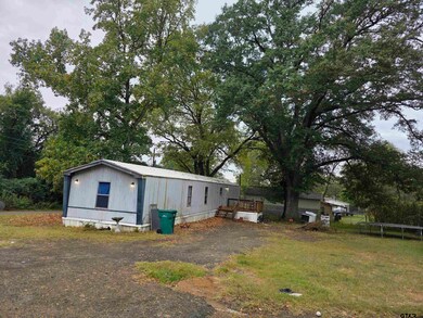 300, 302, 304 Walnut, Naples, TX 75568 - photo 4