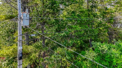 25_dji_20250625151934_0066_d1