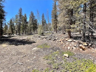 2834 Middle Fork, Fairplay, CO 80440 - photo 3