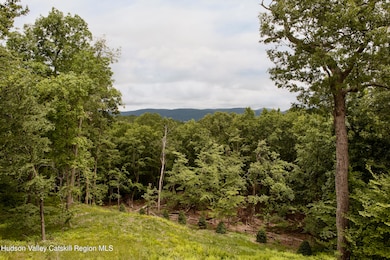 49 Sky Top Rd, Copake, NY 12516 - photo 3