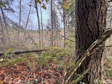 1618 Maple Valley Dr, Centralia, WA 98531 - photo 6