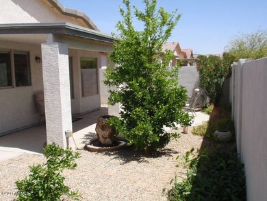 South facing back yard