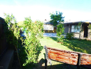 P1060918