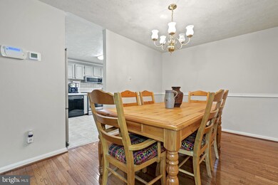 6100 Mantle Rd, Burke, VA 22015 - photo 6