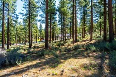225 clear creek-9