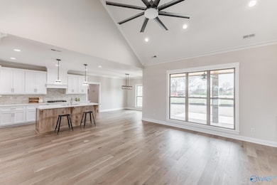 2106 Covington Ln SW, Decatur, AL 35603 - photo 6