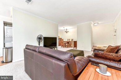 Chestnut Grove Condominiums unit 243, Reston, VA 20190 - photo 6