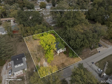 10651 Thorpe Ave, Saint Louis, MO 63114 - photo 5