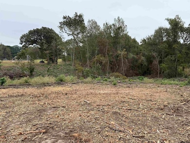 TBD Cr 314 - 15 Acres, Henderson, TX 75652 - photo 4