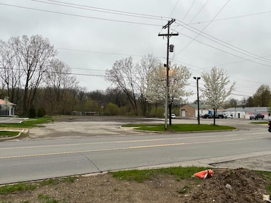 10420 Brooklyn Rd, Brooklyn, MI 49230 - photo 2