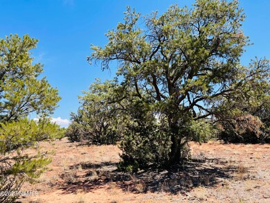 9558 Bird Dog Circle Photo 4