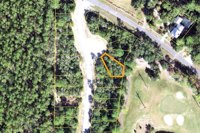 110 Spoonbill Ct, Carrabelle, FL 32322 - photo 3