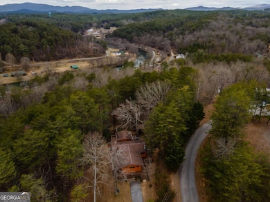233 River Hills Rd, Mineral Bluff, GA 30559 - photo 6