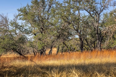 1260 County Road 2001, Lampasas, TX 76550 - photo 2