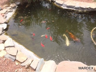 Koi pond