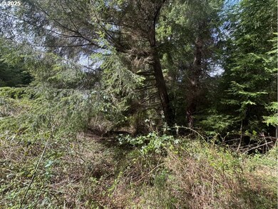 0 Wildberry Rd, Coosbay, OR 97420 - photo 6