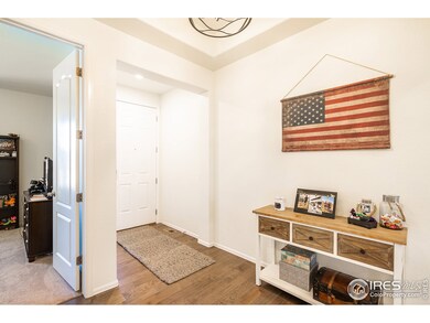 14165 Grape St, Thornton, CO 80602 - photo 5