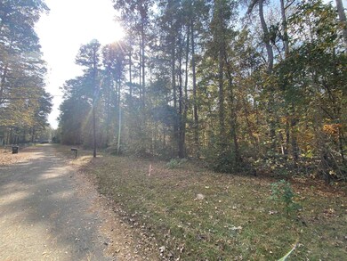 TBD Driftwood, Jefferson, TX 75657 - photo 4