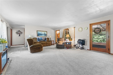 Living room featuring carpet floors and baseboards