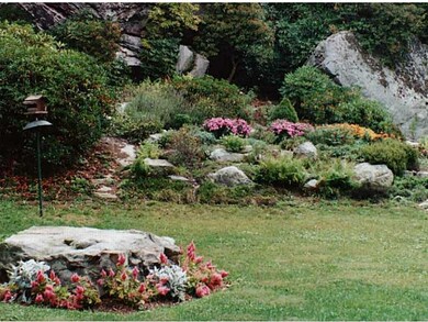 Yard/Garden. Park-like back yard