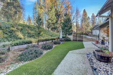 364 Gracie Rd, Nevada City, CA 95959 - photo 6