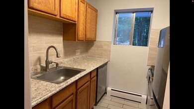 995 Massachusetts Ave unit 206, Arlington, MA 02476 - photo 4