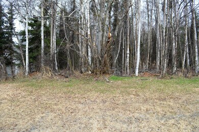 Lot View