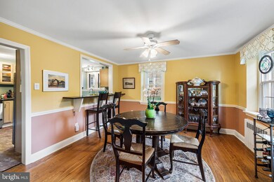 4022 Bloomfield Ave, Drexel Hill, PA 19026 - photo 7