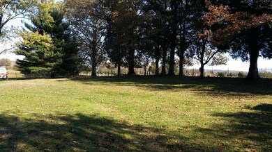 2nd view from back deck