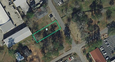 205 Powell St, Conway, SC 29526 - photo 6