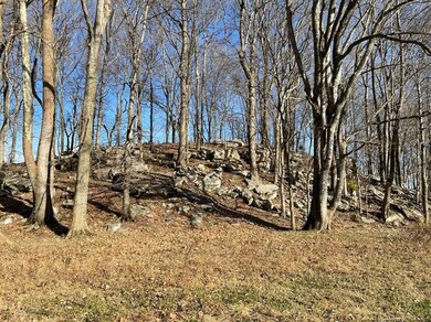 231 Highway 1003, Somerset, KY 42501 - photo 7