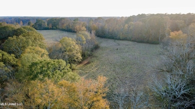 3142 King Rd, Wesson, MS 39191 - photo 4