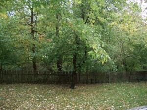 FENCED YARD