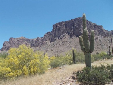 Natural desert beauty